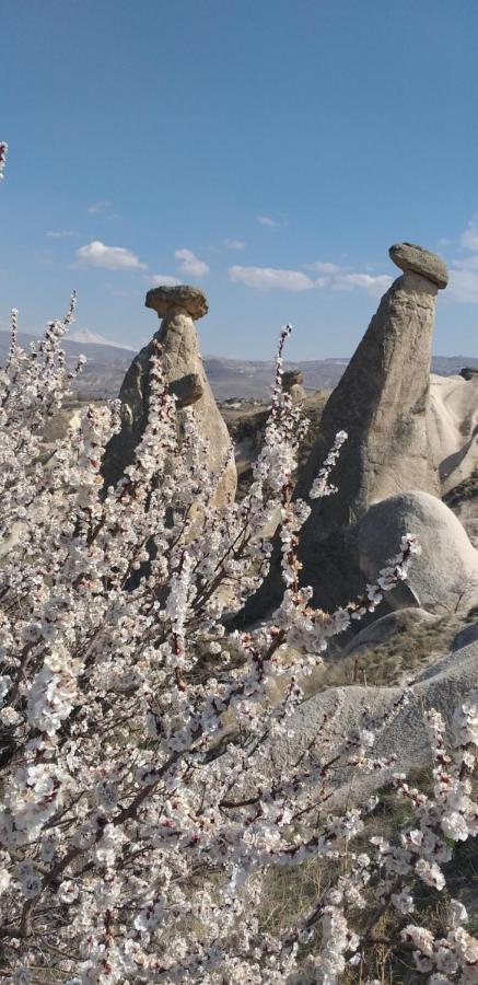 Peruna Cave Göreme Exteriér fotografie